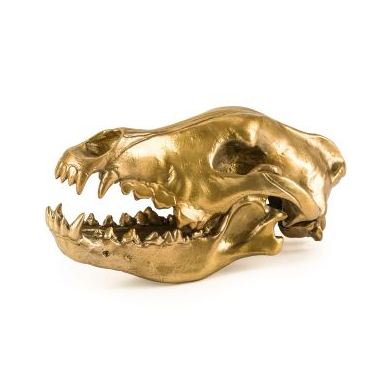 Alpha Wolf Gold Skull